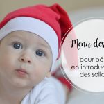 Menu des fêtes pour bébé en introduction des solides | Cocoon Bien Naître
